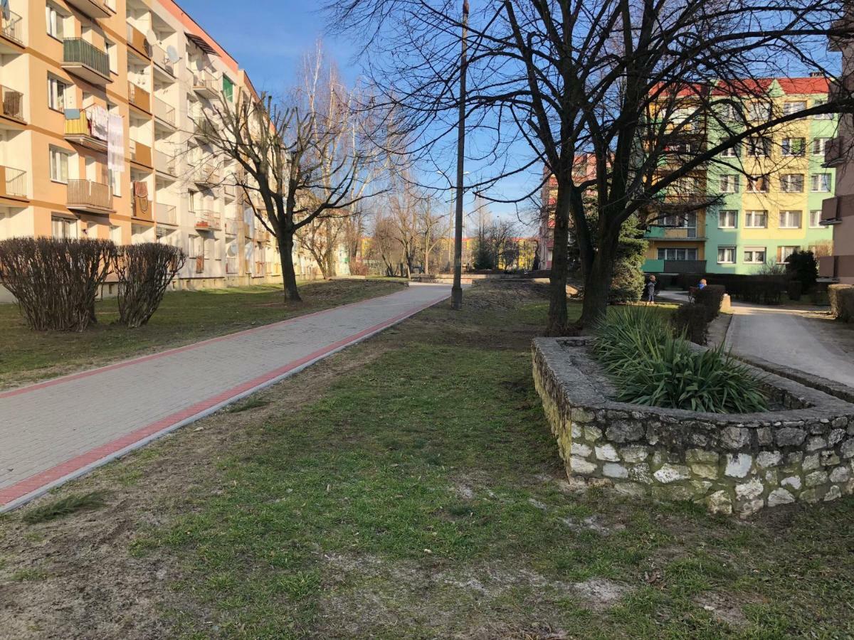 Apartament Na Zielonej Parter Apartment Kedzierzyn-Kozle Exterior photo